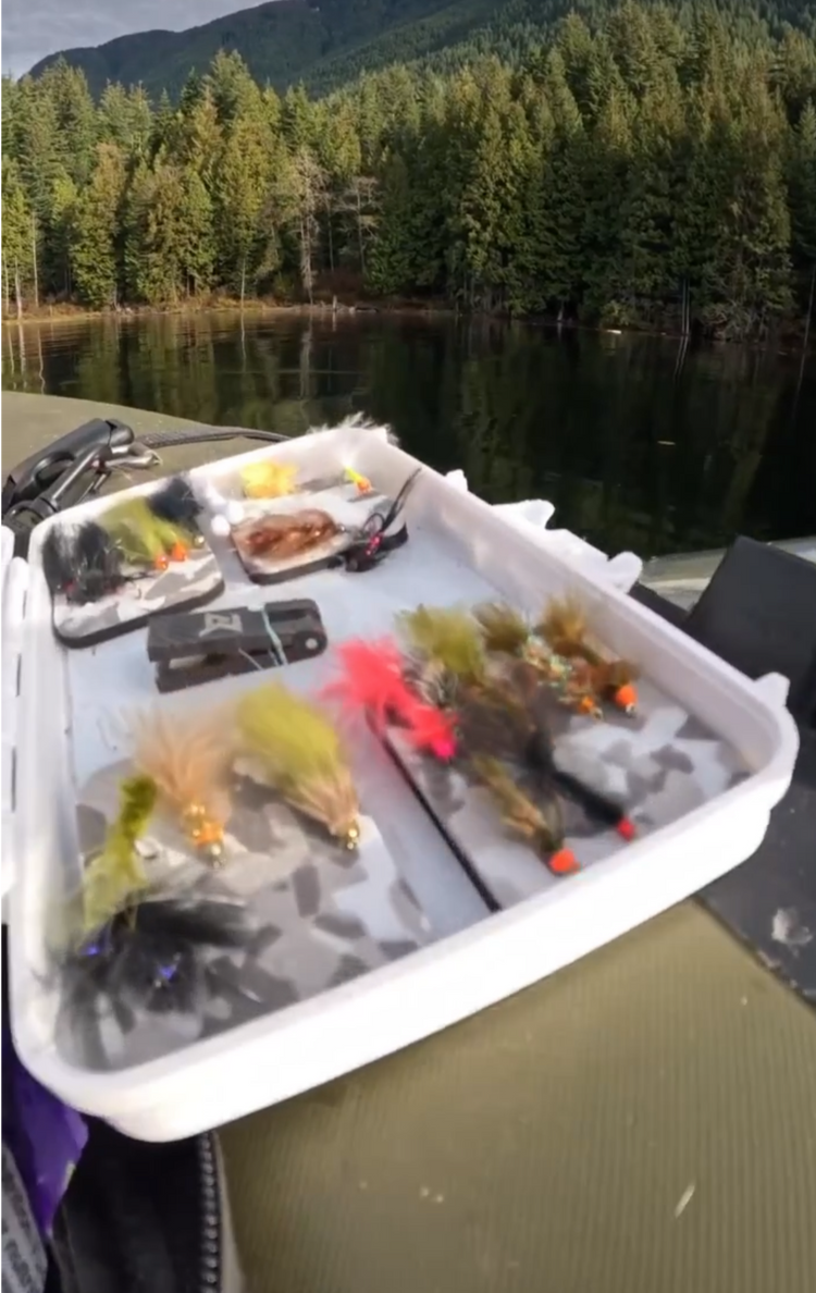 Mag Box Lite - Lid Rig