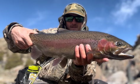 The Seldom Green - Lid Rig