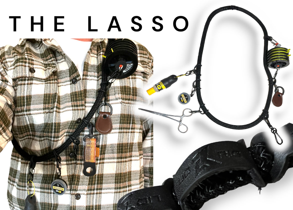 Fast Lasso Lasso